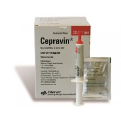Antibiótico INTERVET Cepravin secado Caja 20 jeringas