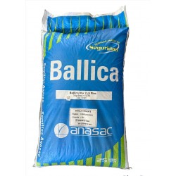 Semilla Ballica ANASAC Nui TLS Plus Saco 25 kg