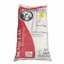 Semilla Ballica Sg 2000 Tama Saco 25 kg