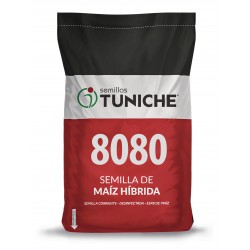 SEMILLA MAIZ 8080 TUNICHE