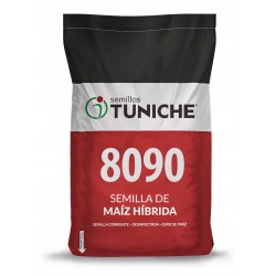 SEMILLA MAIZ 8090 TUNICHE