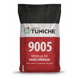 SEMILLA MAIZ 9005 TUNICHE