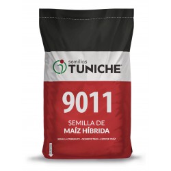 SEMILLA MAIZ 9011 TUNICHE