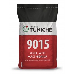 SEMILLA MAIZ 9015 TUNICHE