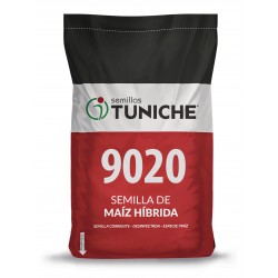 SEMILLA MAIZ 9020 TUNICHE