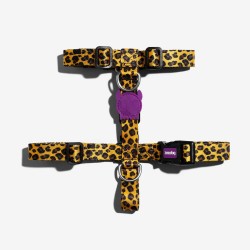 Zeedog Arnés H para Perro - HONEY