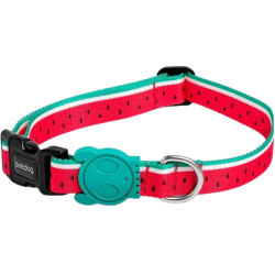 Zeedor Collar para Perro - LOLA