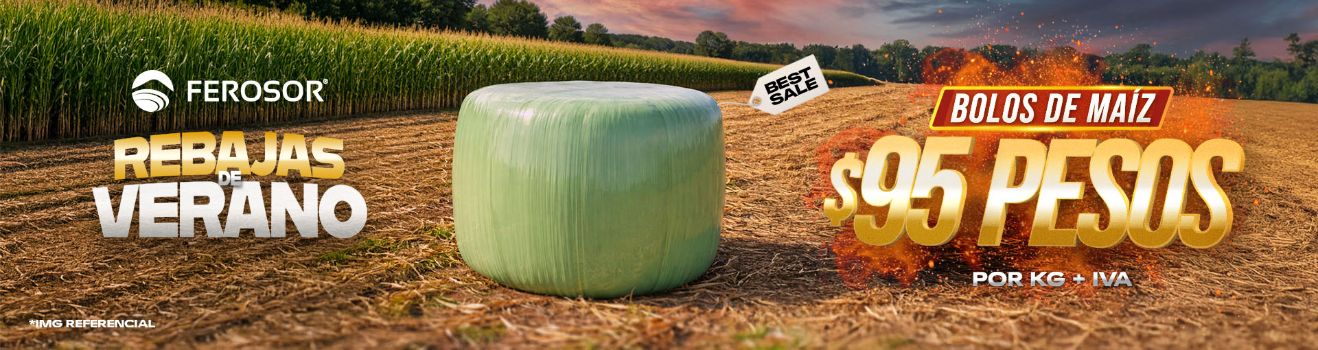 Verano Nutricion Slide background