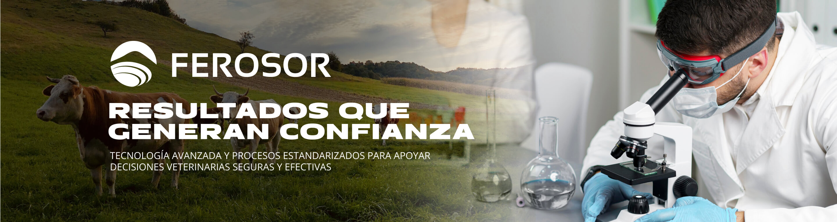 Resultados Laboratorio Resultados Laboratorio