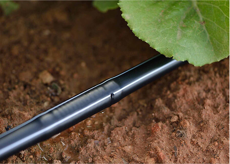 Aplicaci&oacute;n de agua con goteo