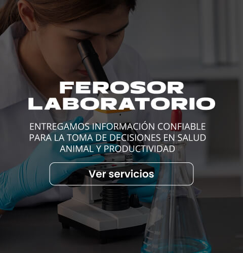 Ferosor Laboratorio Ferosor Laboratorio