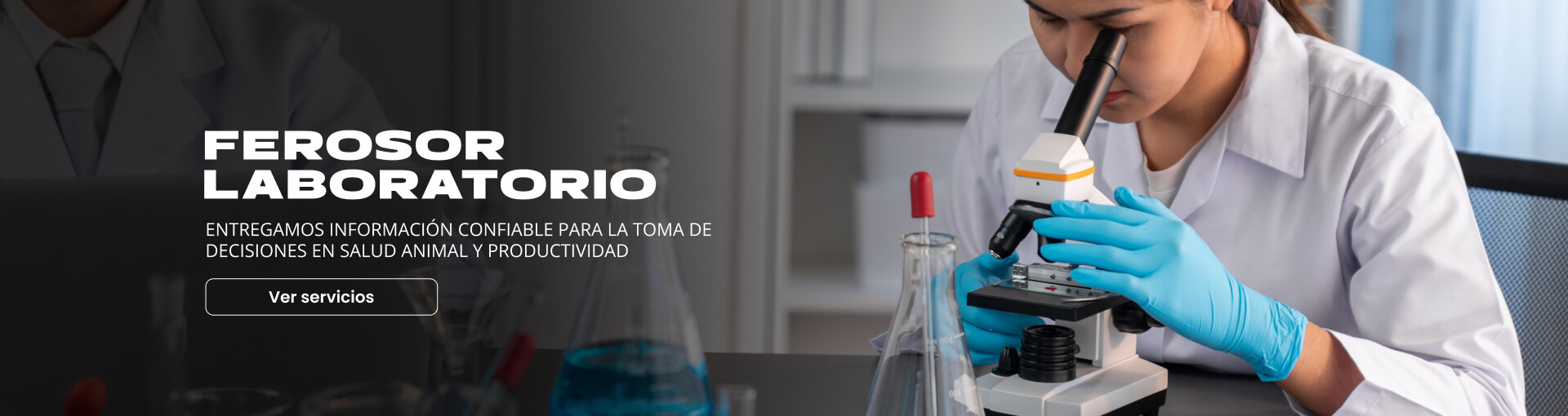 Ferosor Laboratorio Ferosor Laboratorio