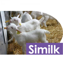 Sustituto Lácteo NUTRIAL Similk Tungsteno Plus Balde 5 kg