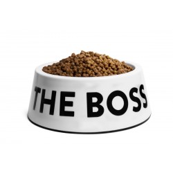 Plato de comida para perro IM THE BOSS Zeedog Large