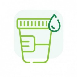 Examen Orina - Microscopico