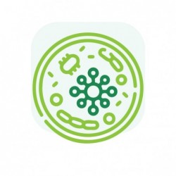 Prescencia Micotoxinas En Leche