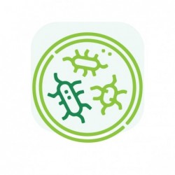 Coproparasitario Completo