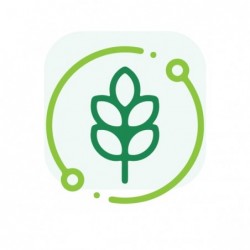 Digestibilidad Grano Maíz