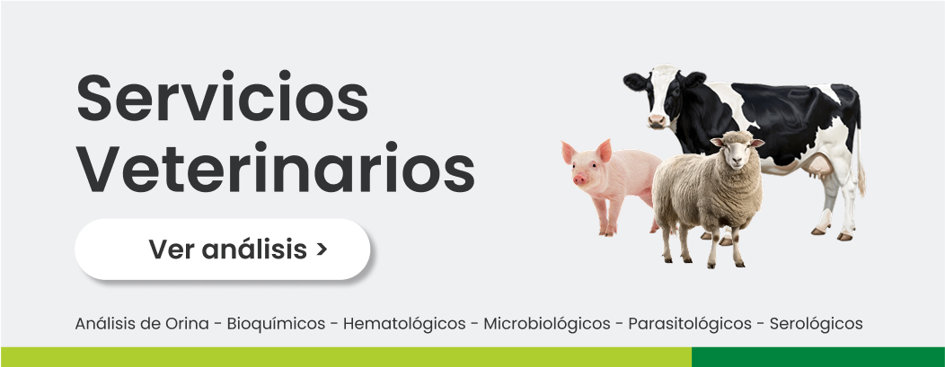 Servicio Veterinario