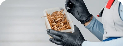 análisis bioquímico