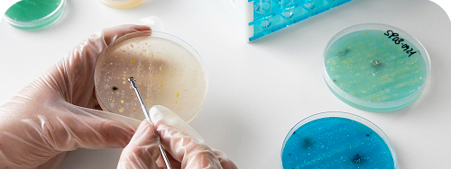 análisis bioquímico